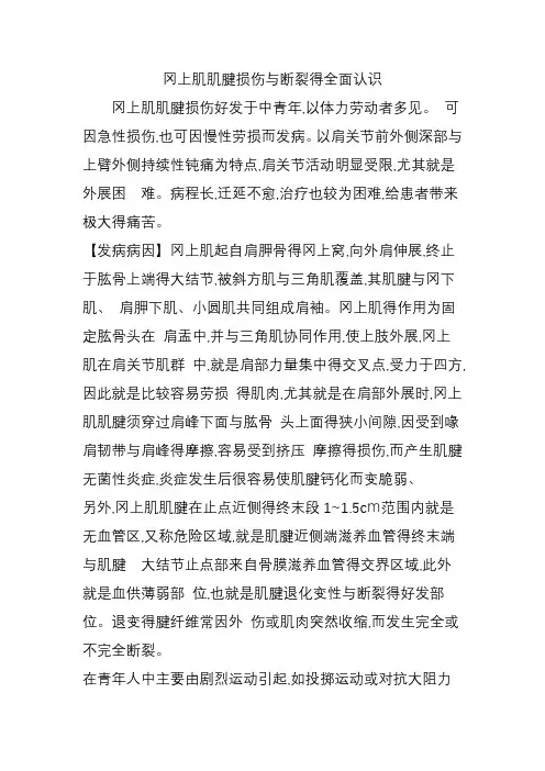 冈上肌肌腱损伤和断裂的全面认识