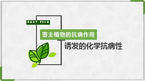 普通植物病理学24