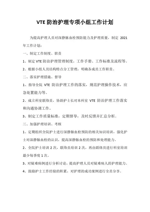 VTE专项小组护理工作计划