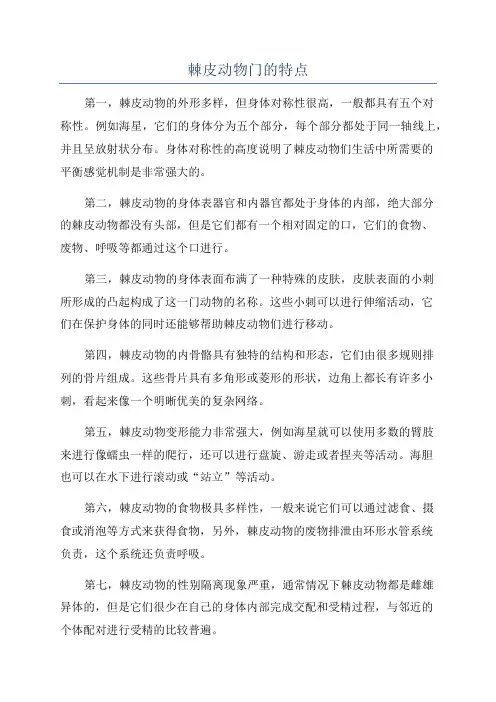 棘皮动物门的特点