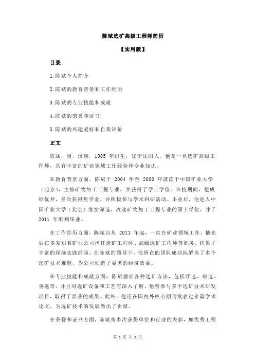 陈斌选矿高级工程师简历