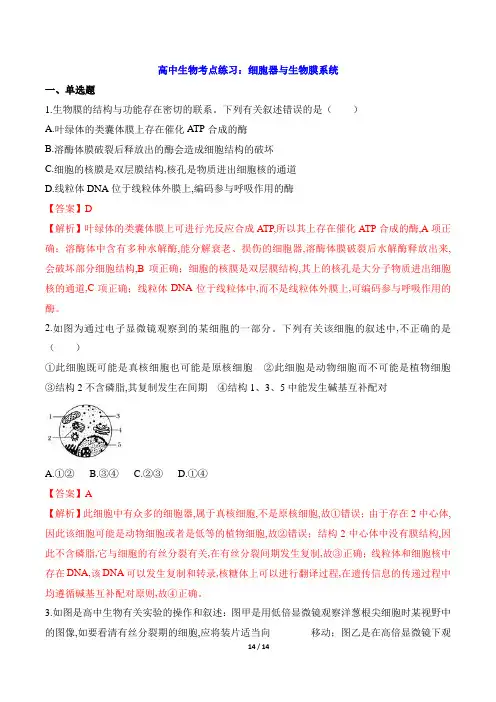 高中生物考点练习：细胞器与生物膜系统(解析版)