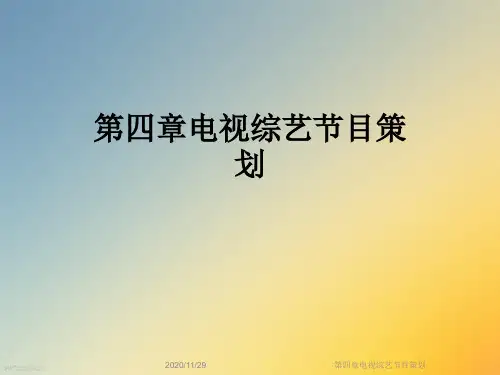 第四章电视综艺节目策划