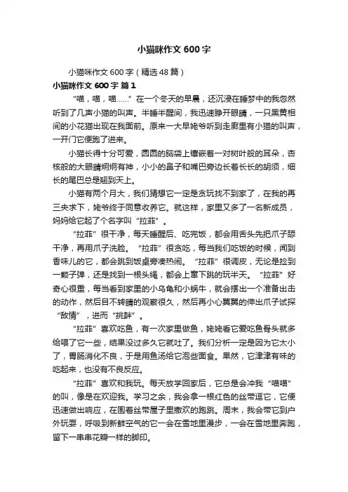 小猫咪作文600字（精选48篇）