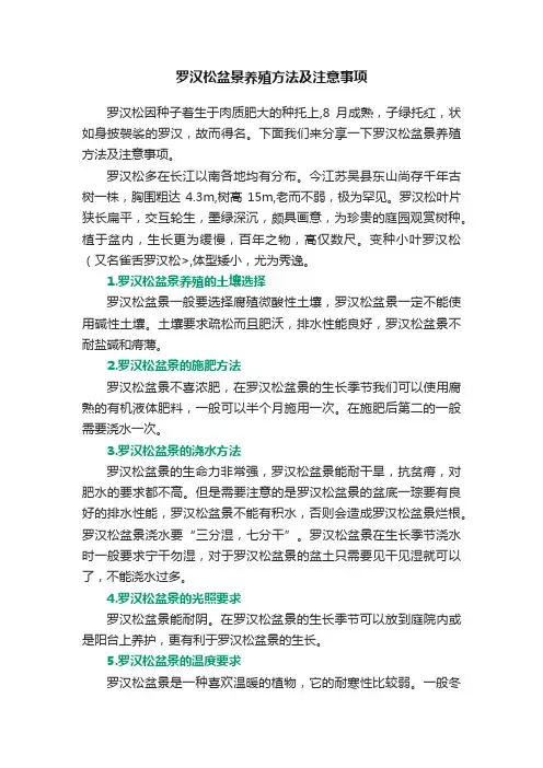 罗汉松盆景养殖方法及注意事项