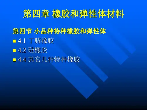 高分子材料4.4 小品种特种弹性体