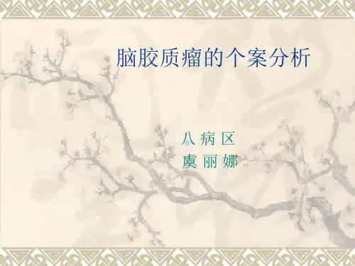 颅脑损伤的个案分析ppt课件