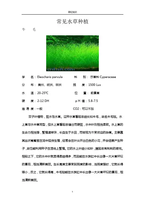 常见水草种植