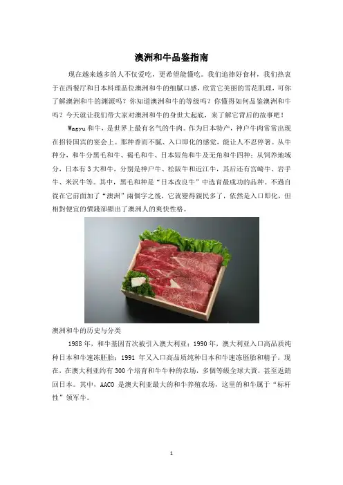 澳洲和牛品鉴指南