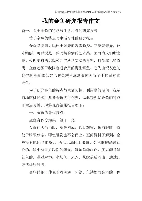 我的金鱼研究报告作文