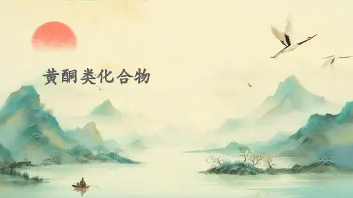 黄酮类化合物ppt