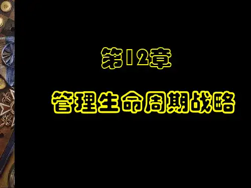 管理生命周期战略ppt