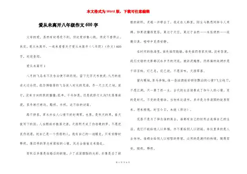 爱从未离开八年级作文600字