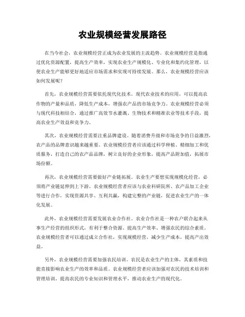 农业规模经营发展路径