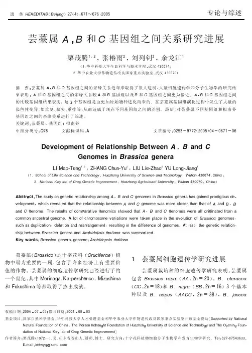 芸薹属A,B和C基因组之间关系研究进展
