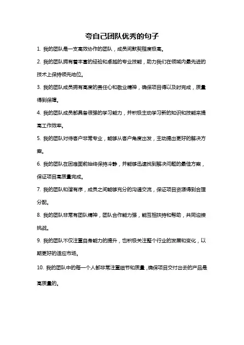 夸自己团队优秀的句子