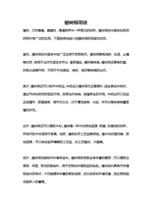 椿树根用途