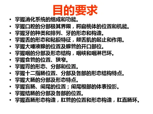 《系统解剖学》教学课件：第四章 内脏总论