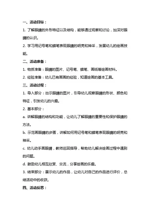 大班美术活动教案《明亮的眼睛》含反思