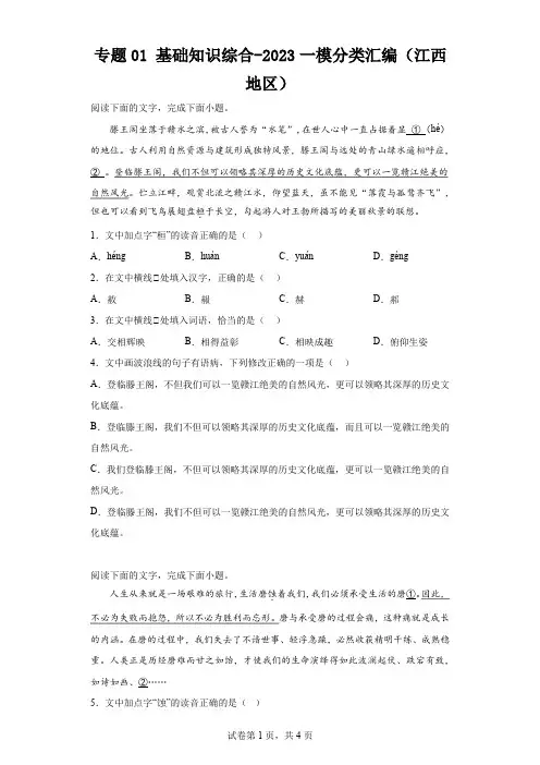专题01基础知识综合-2023一模分类汇编(江西地区)(含解析)