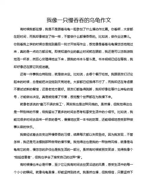 我像一只慢吞吞的乌龟作文
