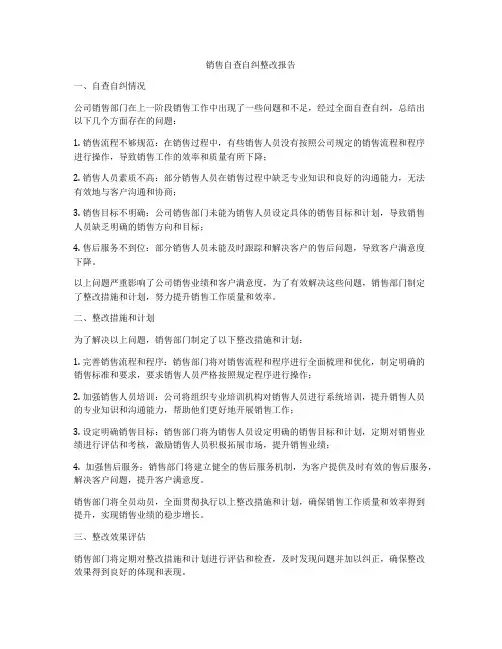 销售自查自纠整改报告