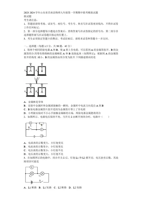 2023-2024学年山东省莒南县物理九年级第一学期期中联考模拟试题含解析