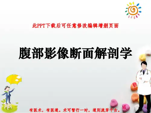 腹部影像断面解剖学PPT成品