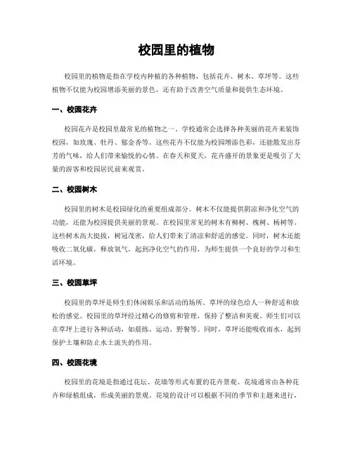 校园里的植物
