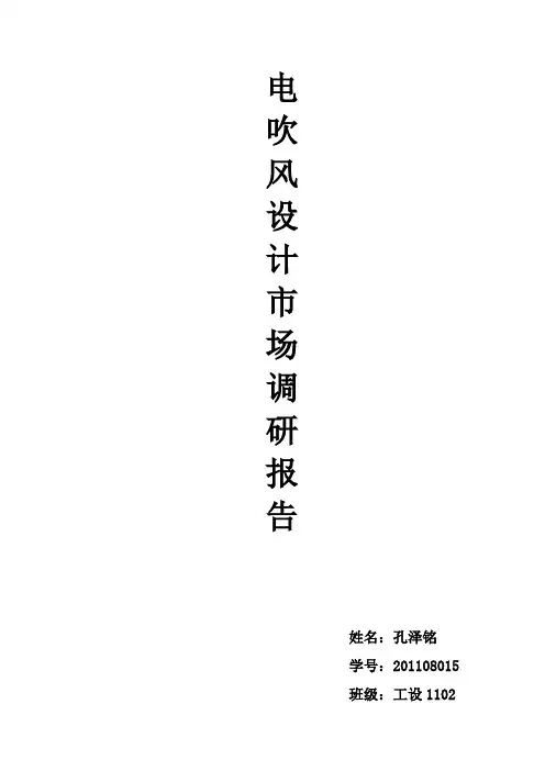 电吹风调研报告