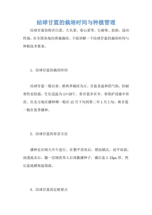 结球甘蓝的栽培时间与种植管理