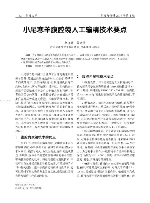 小尾寒羊腹腔镜人工输精技术要点