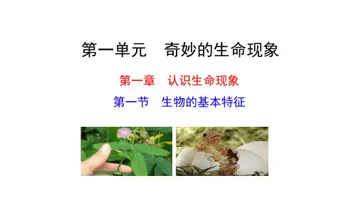 1.1.1 生物的基本特征 课件 (共17张PPT)2024-2025学年生物济南版七年级上册