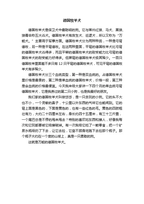 德国牧羊犬
