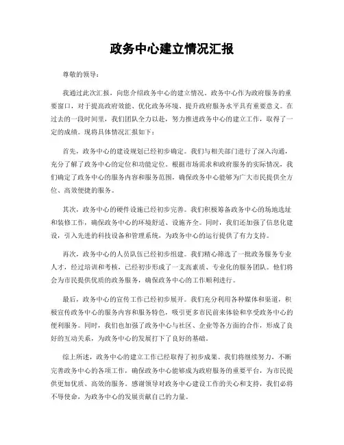 政务中心建立情况汇报