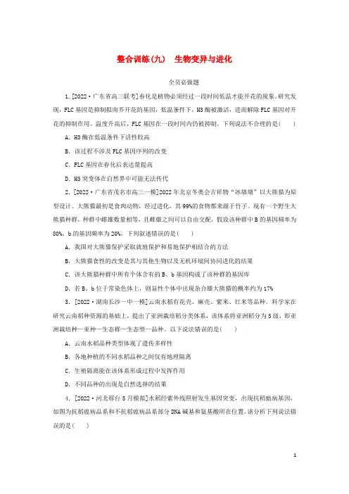 2023新教材高考生物二轮专题复习整合训练九生物变异与进化