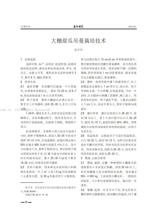 大棚甜瓜吊蔓栽培技术