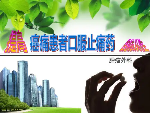 QCC癌痛服药依从性ppt课件