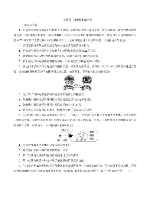 2024届高三生物一轮复习练习专题四细胞膜和细胞核