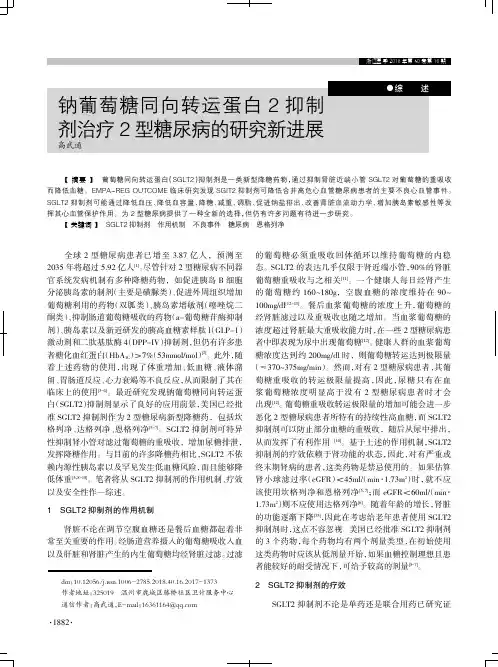 钠葡萄糖同向转运蛋白2抑制剂治疗2型糖尿病的研究新进展