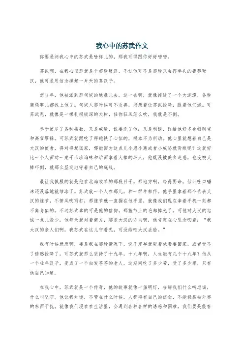 我心中的苏武作文