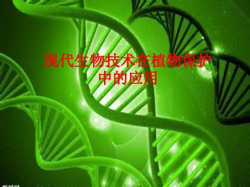 现代生物技术在植物保护中的应用 PPT