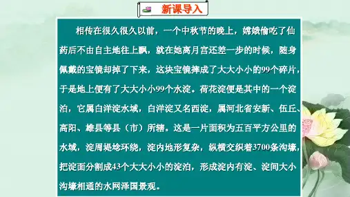 《荷花淀》(2022)