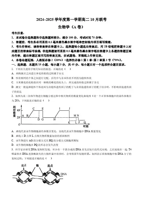 安徽省县中联盟2024-2025学年高二上学期10月月考生物试题(无答案)