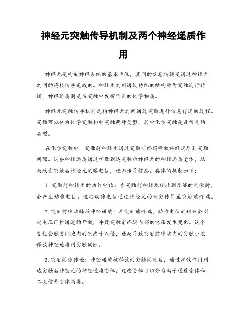 神经元突触传导机制及两个神经递质作用