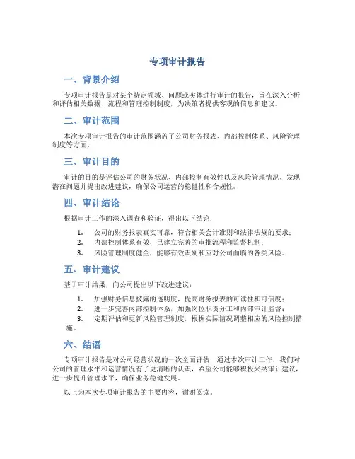 专项审计报告