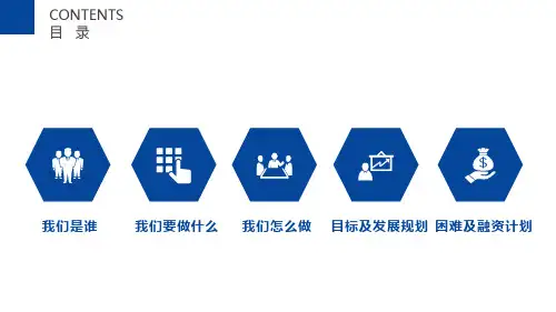 网络科技项目招商产品推介商业计划书课件ppt模板