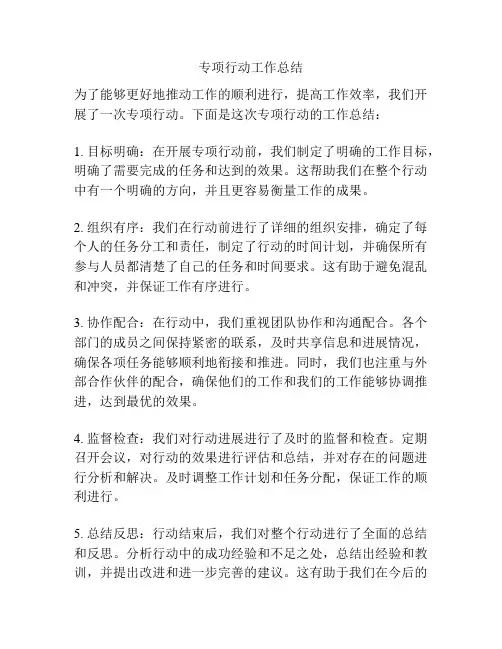 专项行动工作总结