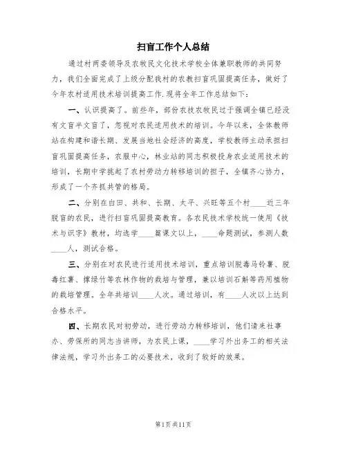 扫盲工作个人总结(2篇)