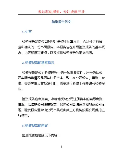 验资报告范文